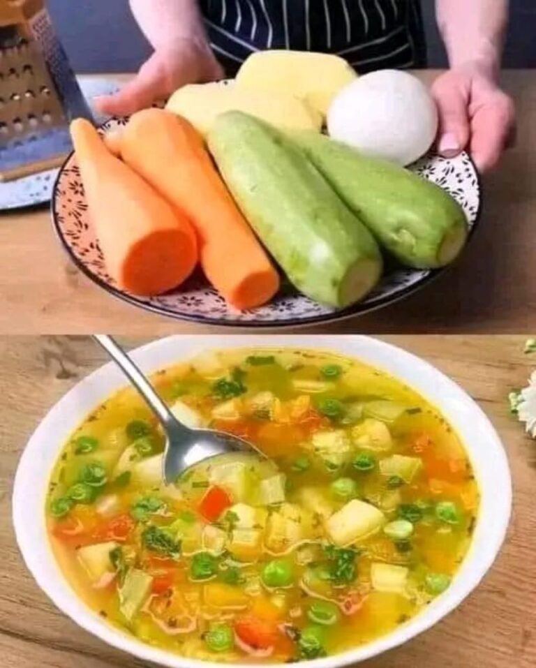 Vegetable Soup