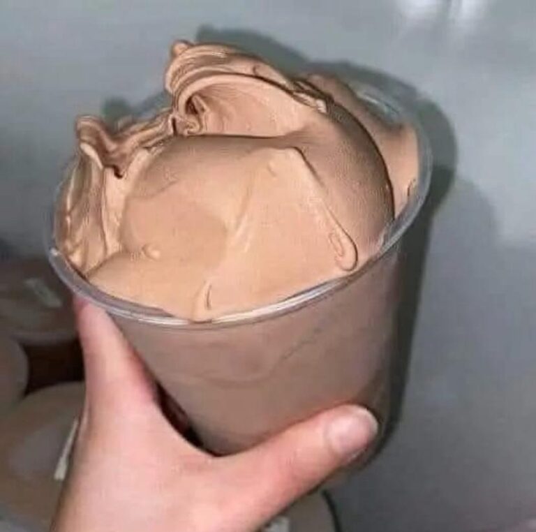 Homemade Chocolate Ice Cream